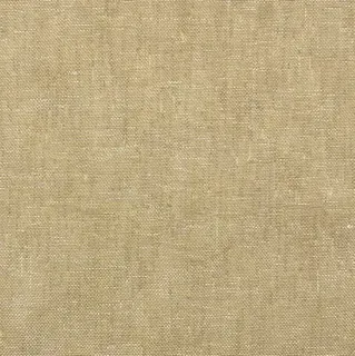 Rio