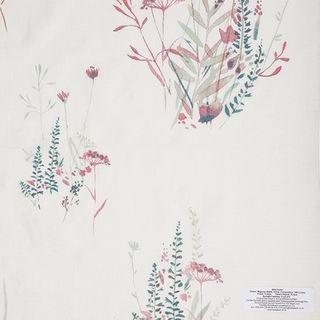 Wild Flower Magenta