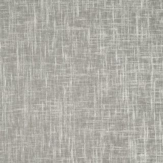 Beech Silver Birch