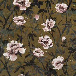 Peonia Velvet Chartreuse