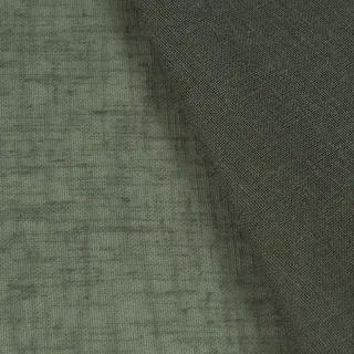 Bali Moss